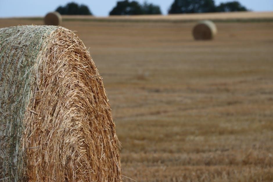 manual hay baler